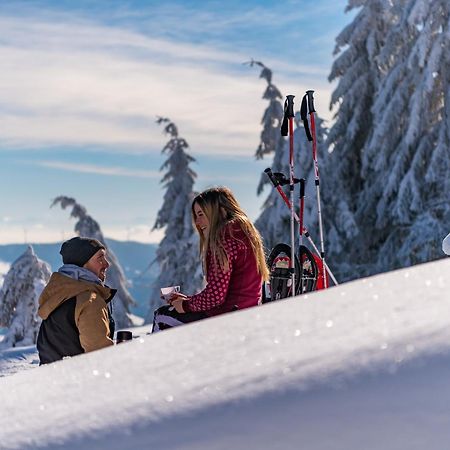 Schwarzwaldhorst Fewo 2 - Mit 4 Schlafzimmer - Todtnau, Liftverbund Feldberg المظهر الخارجي الصورة