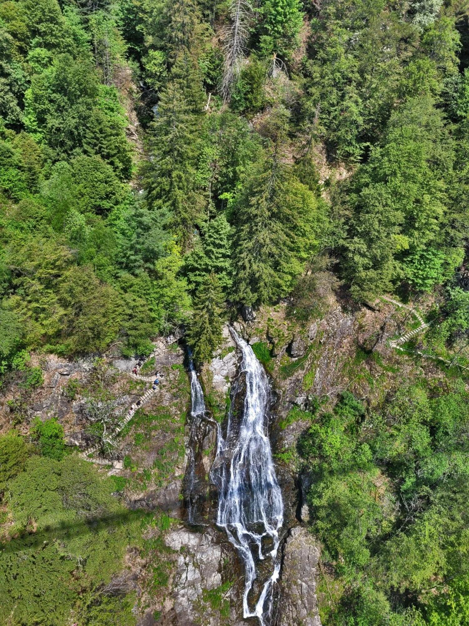 Schwarzwaldhorst Fewo 2 - Mit 4 Schlafzimmer - Todtnau, Liftverbund Feldberg المظهر الخارجي الصورة