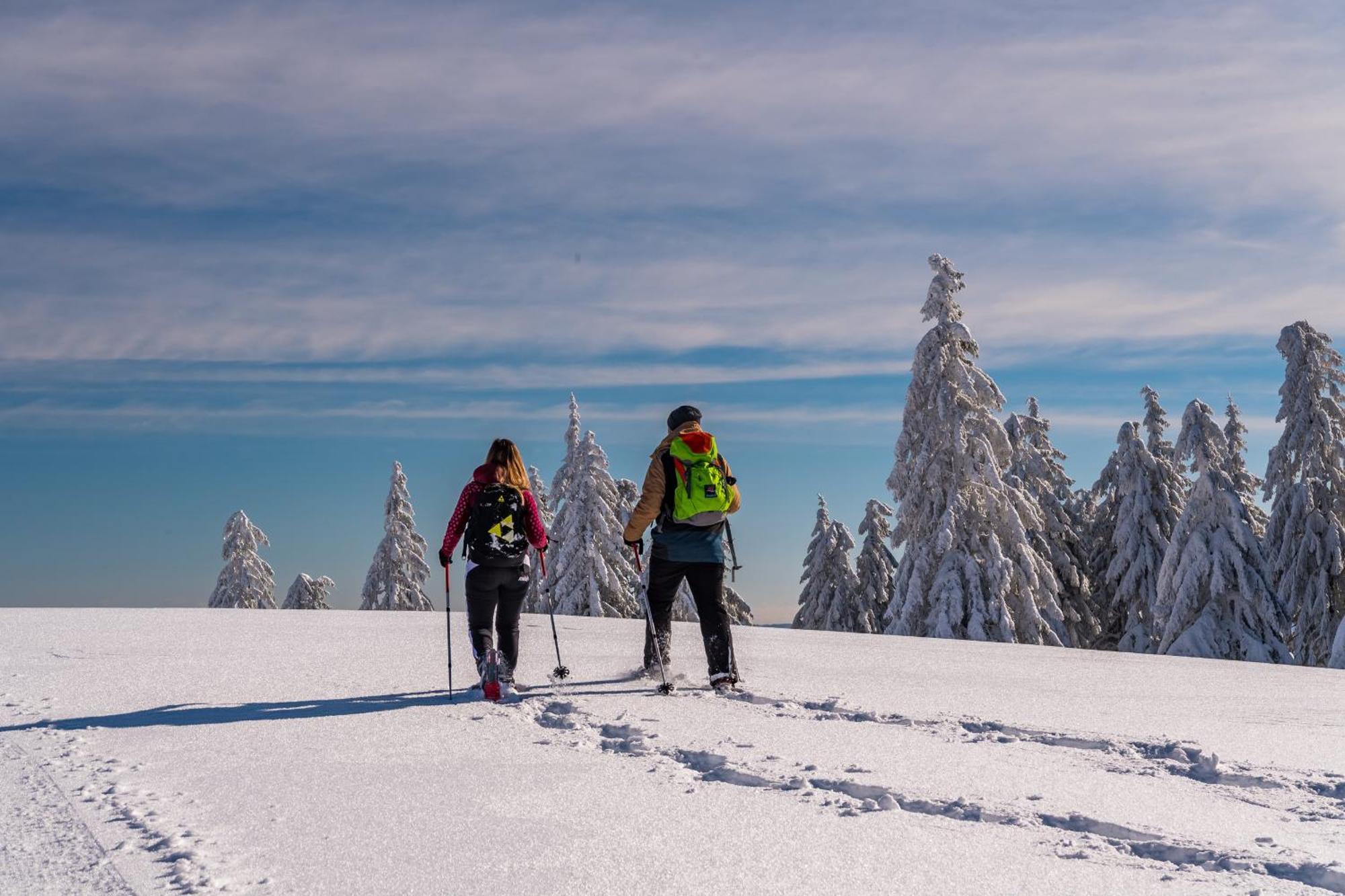 Schwarzwaldhorst Fewo 2 - Mit 4 Schlafzimmer - Todtnau, Liftverbund Feldberg المظهر الخارجي الصورة